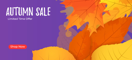 Autumn sale website banner template. Fall poster with leaves for ad, sites, promotions, newslettersのイラスト素材