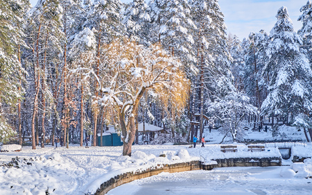 UKRAINE - CHERKASY JANUARY 20, 2018 People walking in a winter park with frozen lakeのeditorial素材
