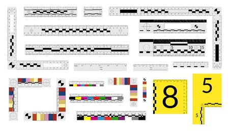 Set of forensic rulers for police detectives to measure crime evidenceのイラスト素材