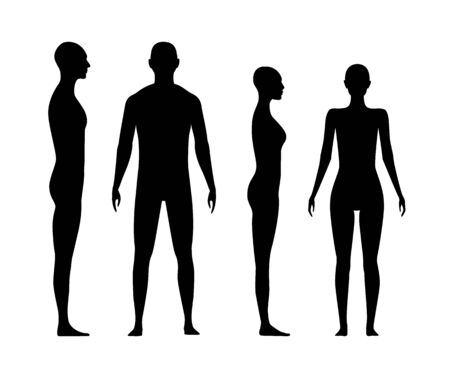 Front and side view human body silhouette of an adult man and a women.のイラスト素材