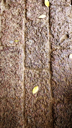 Brown Rock Patternの写真素材