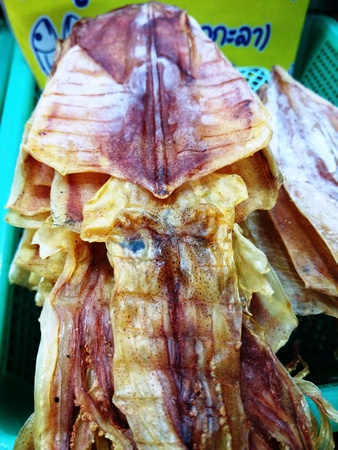 Big Dried Salted Squidの写真素材