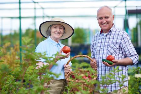 Portrait of happy senior couple posing, smiling at camera, with fresh vegetable harvest on family farmの写真素材