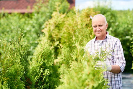 Portrait of smiling old man enjoying work in garden, caring for plants and looking at cameraの写真素材