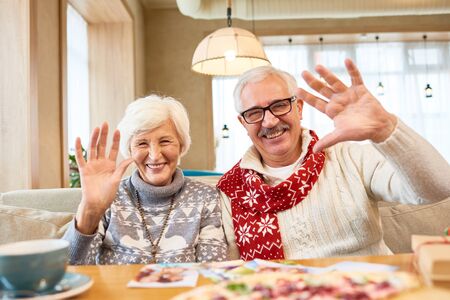 Portrait of Happy Senior Couple in Cafeの写真素材
