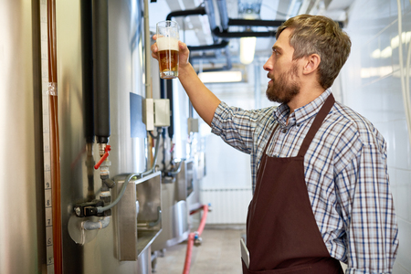 Concentrated inspector checking color of beer at factory