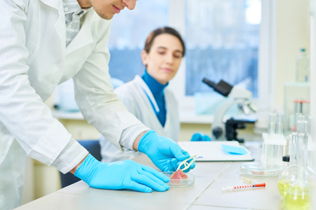Talented Scientists Working Togetherの写真素材