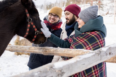 Friends Petting Horses on Ranchの写真素材