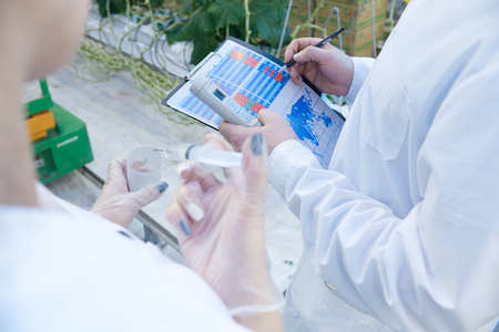 High angle close up of two unrecognizable scientists checking quality of production taking probes in greenhouse of modern plantationの写真素材