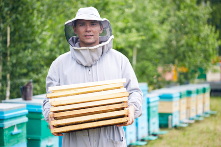 Young Worker in Apiary