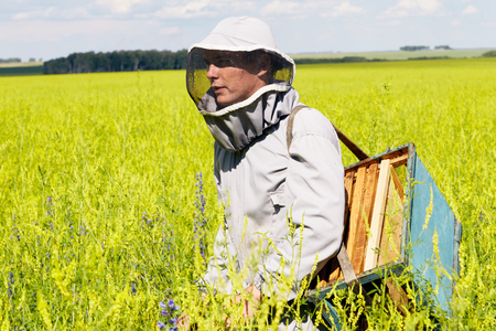 Young Apiarist Walking in Meadow