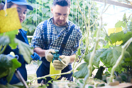 Farm Workers by Plant Beds