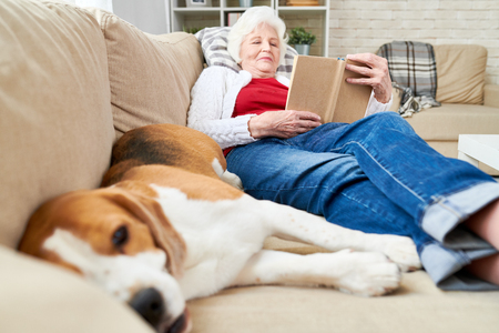 Senior Woman Enjoying Leisure Time with Dogの写真素材