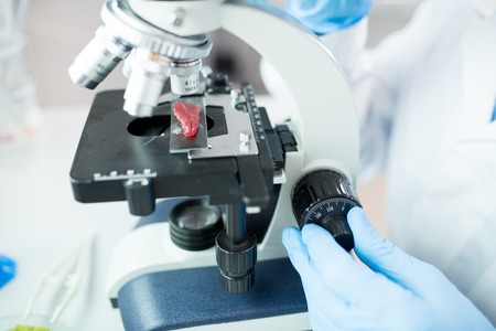 Scientist studying meat sample under microscopeの写真素材