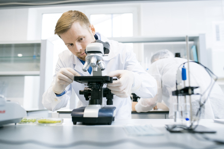 Scientist Using Microscope in Labの写真素材
