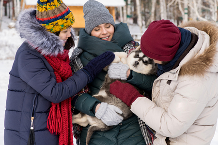 Young Women Playing with Puppyの写真素材