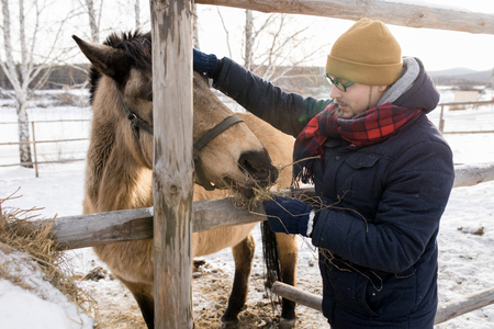 Man Feeding Horse on Farmの写真素材