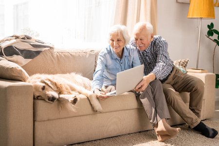 Senior Couple Using Video Chat with Dogの写真素材