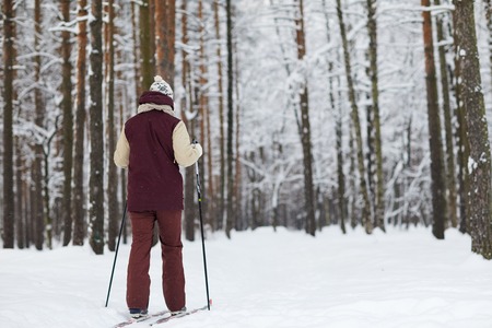 Man Skiing in Forest Back Viewの写真素材