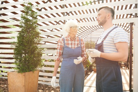 Two Gardeners in Sunlightの写真素材