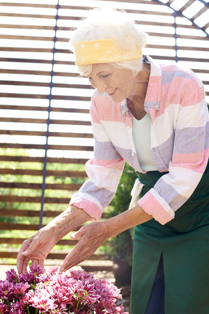 Senior Woman Caring for Flowersの写真素材