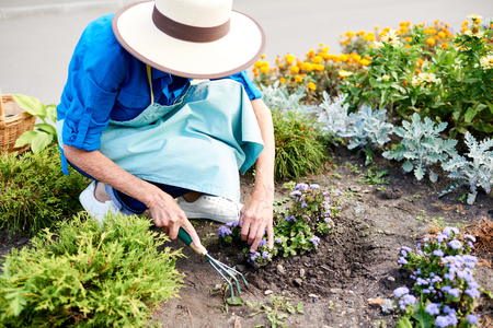 Female Gardener Planting Flowersの写真素材