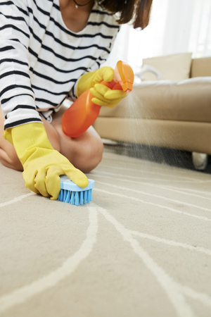 Close-up image of housewife spraying carpet with detergent and brushing itの写真素材