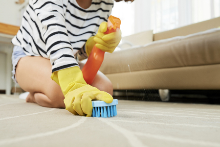 Close-up image of housewife spraying detergent on stain to remove itの写真素材