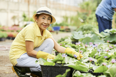 Woman growing water lilの写真素材