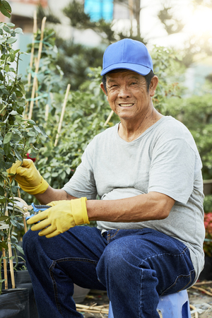 Senior man trimming plantsの写真素材