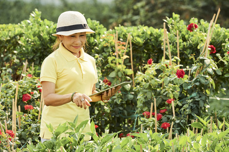 Smiling woman in her gardenの写真素材