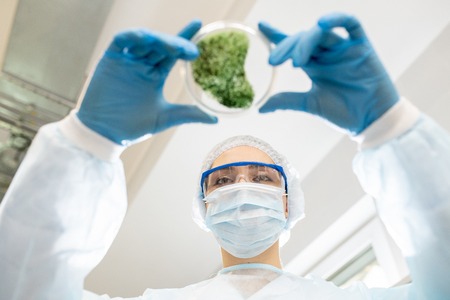 Environmental researcher working in laboratory