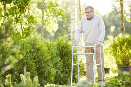 Full length portrait of senior man leaning on walker walking outdoors in sunlit park, copy spaceの写真素材