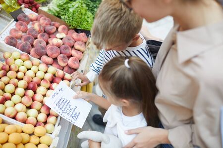 High angle view at two kids reading shopping list while buying groceries at farmers market with mom, copy spaceの写真素材