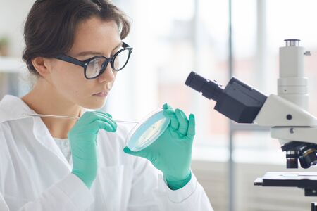 Portrait of beautiful young woman holding petri dish while working on research in medical...