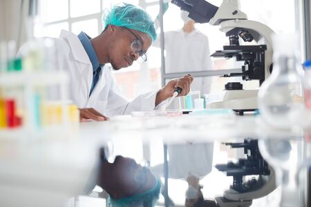 Side view portrait of African-American man working in laboratory preparing test samples in petri...