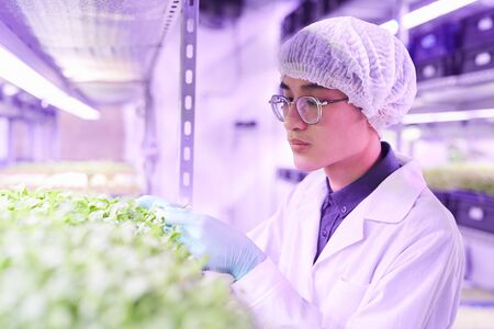 Portrait of Asian young man examining plants while working in nursery greenhouse, copy spaceの写真素材