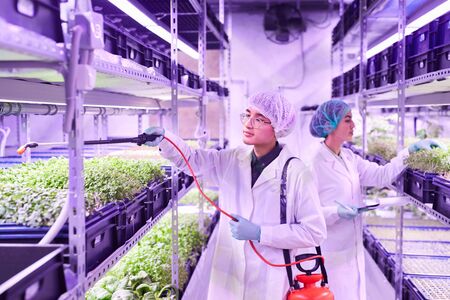 Portrait of two young workers caring for plants in nursery greenhouse, copy space