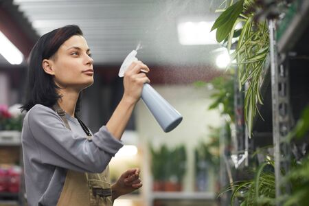 Side view portrait of young woman watering flowers while working in shop, copy spaceの写真素材