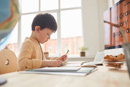 Sde view portrait of cute little boy doing homework while sitting at desk by computer with online...