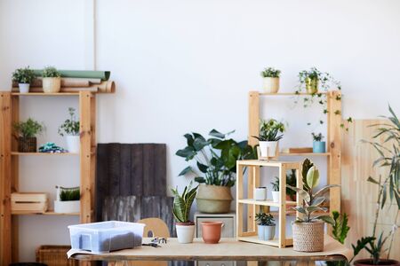 Background image of wooden table with potted plants and soil, home gardening concept, copy spaceの写真素材