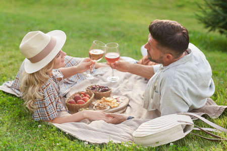Back view portrait of loving adult couple enjoying picnic in sunlight and clinking wine glasses during romantic date outdoorsの写真素材