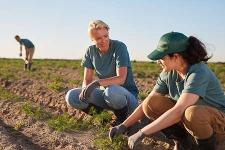 Portrait of two smiling young women enjoying work at vegetable plantation outdoors lit by sunlight, copy spaceの写真素材