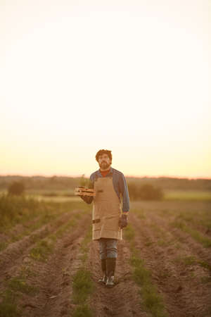Vertical full length portrait of bearded farmer walking towards camera in field lit by sunset lightの写真素材