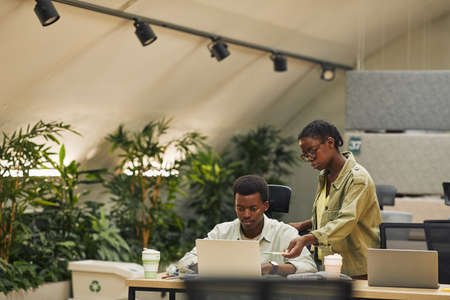 Portrait of two African-American people working in modern open space office, focus on female manager instructing trainee or colleague, copy spaceの写真素材