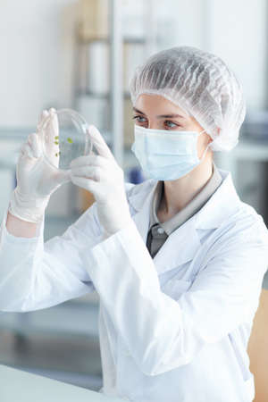 Vertical portrait of young female scientist holding petri dish while studying plant samples in biotechnology labの写真素材
