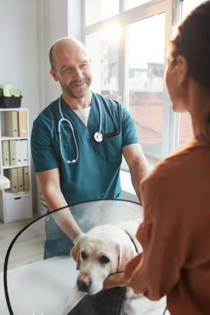 Vertical portrait of mature veterinarian examining dog at vet clinic while talking to young womanの写真素材
