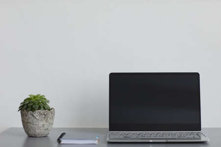 Minimal background image of blank laptop on desk at home office with cacti plant, copy spaceの写真素材