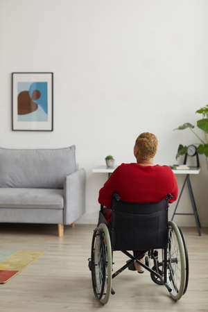 Vertical back view at modern woman with disability using wheelchair in minimal home interior, copy spaceの写真素材