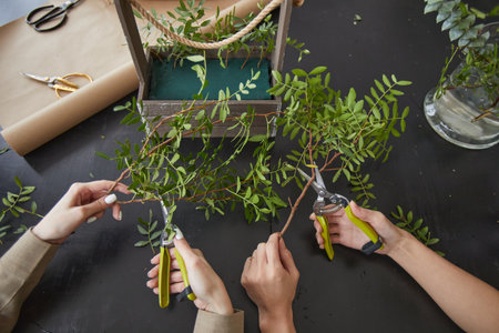 Top down view at female hands cutting green plants while creating floral compositions for decor, copy spaceの写真素材